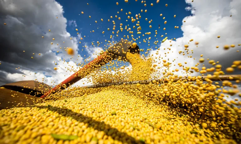Crescimento foi impulsionado principalmente pelas safras de soja, milho e arroz. Foto: CNA/Divulgação